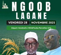 Récolte de mil à Lagane : El Hadj Samuel Sarr lance un appel aux disciples et à ses proches, ce vendredi 28 et samedi 29 novembre 2025