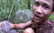 Un vrai Tarzan a vécu pendant 40 ans dans la jungle