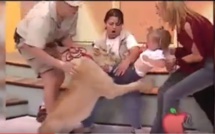  Une lionne attaque violemment une fillette en direct à la télévision ! Terrifiant !!