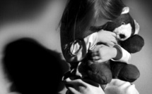 Un père de famille emprisonné pour des actes de pédophilie sur sa fille, sa belle-fille, sur le chien de la famille et sur des poulets