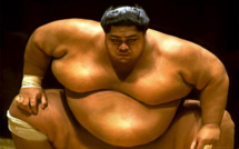 Les sumotoris, ces colosses aux pieds d’argile qui ingèrent en moyenne 5 000 calories par jour