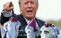 Donald Trump, le « candidat des djihadistes » ?