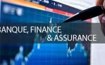 Une jeune dame cherche travail dans le domaine de la banque finances... 