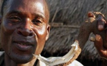 Le séropositif surnommé « la Hyène » qui a couché avec 104  adolescentes alpagué