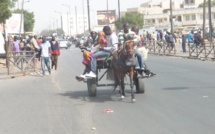 Madagascar : la mairie d’Antananarivo interdit les charrettes en ville
