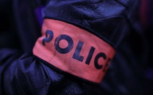 Deux frères de 12 ans soupçonnés d'avoir violé une fille du même âge