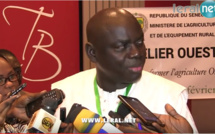 Atelier sur la mécanisation agricole en Afrique de l’Ouest à Dakar, les experts invités à accompagner l'agriculture