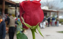 À Maiduguri, le berceau de Boko Haram, on célèbre aussi l'amour