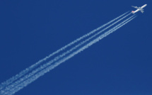 Mort en plein vol d'un enfant cardiaque