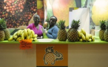 Le Salon international de l’agriculture à Paris, une bonne affaire pour l’Afrique ?