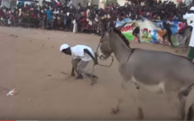 Vidéo- Un jeune ânier passe un mauvais quart d’heure et se fâche contre sa monture (Mourir de rire)