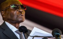 Robert Mugabe vend ses vaches et offre 1 million de dollars à l’Union Africaine