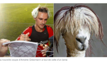 La nouvelle coupe de cheveux de Griezmann a tout de celle d'un lama (et ce n'est pas la première fois)