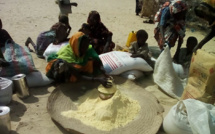 Insécurité alimentaire au Sénégal : Six départements en situation difficile, signalés