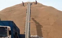 Campagne arachidière: Les Chinois désertent le marché sénégalais