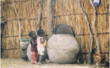 Drame : Un enfant de 3 ans meurt noyé dans un canari à Diamwéli ( Linguère) 