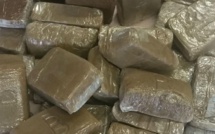 Détention et trafic de chanvre indien, association de malfaiteurs : Le taximan et son acolyte tombent avec 28,5 kg de chanvre indien