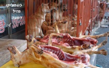 Violence et voie de fait : le Chinois tue son propre chien et se fait menacer et agresser par le vigile guinéen