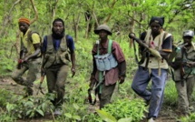 Réaction du MFDC suite au carnage dans la forêt des Bayottes : « Nous ne sommes, ni de près ni de loin, impliqués dans ce carnage »