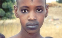 Des chercheurs se penchent sur la revalorisation de la langue peule