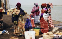 Fipa: Les «Mareyeurs» au Sénégal, moins de poissons, plus d’émigration