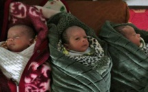 Des triplés nommés "Jérusalem", "Capitale" et "Palestine" à Gaza