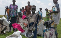 Intensification des efforts : Une exigence pour éliminer la faim en Afrique