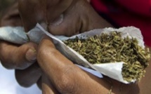 Détention et usage de chanvre indien : Un étudiant de Sup de Co écope de deux mois de prison