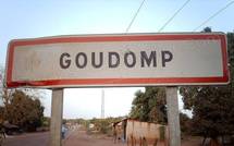 MAIRIE DE GOUDOMP : La sénatrice Maimouna Niang réclame une délégation spéciale
