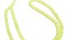 LES SARAKHOLES : Cette communauté qui ne connait pas de « tarikha ».