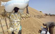 ME ABDOULAYE WADE REVELE DES DETOURNEMENTS DE FONDS ALLOUES AUX PAYSANS : «J'ai lancé une vaste enquête au ministère de l'Agriculture »