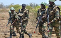 ​SOS CASAMANCE invite Macky Sall "à constater lucidement l’échec de sa stratégie de résolution politique de la crise en Casamance"