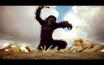 QUARTIER MONTAGE EXTENSION DE SANTHIANE : Un mystérieux singe sème la panique dans la périphérie de Louga