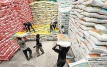 Importation de blé et de riz : Le Sénégal dépense annuellement 200 milliards en céréales