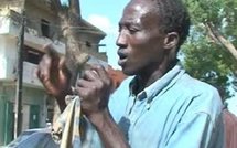 (VIDEO) Matar est très connu au marché central de Thiès. Ecoutez son nouveau tube 