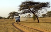 ARRETEZ DE GIFFLER NOTRE CHER DJOLOF