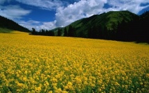 Dix endroits uniques sur la Terre doivent être protégés