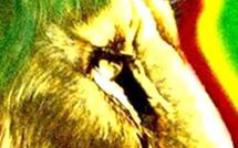 Gabon : Les Lions de la Teranga souhaitent défier les Panthères