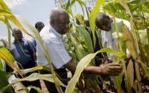 DISTINCTION : Jacques Diouf a reçu le Prix Humanitaire d’Action contre la Faim