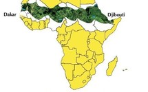 ACCORD DE FINANCEMENT DE L’UE : 700 milliards de Fcfa pour la Grande muraille verte