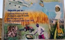 EFFETS DE LA GOANA : Les importations de riz ont baissé de plus de 300.000 tonnes