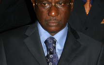 Cheikh Tidiane Sy détruit Idy : » son inexistence politique procède de la gomme de Wade, Il lui manque la « kersa », le « tegguine », le « woleré », et ignore GC: « Je connais Karim Wade, mais pas la « Génération du concret ». «