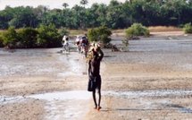 L’armée déterminée à en finir avec les bandits