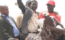 Fesman 3 : Quand Benno sonne la charge