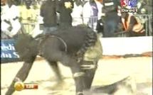 Lutte : Yawou dial Bat commissaire