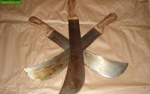 AFFRONTEMENTS ENTRE BERGERS ET CULTIVATEURS : Un mort, un blessé à Pire