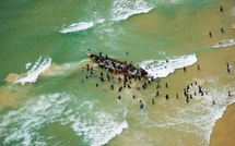 Exploitation de la mer: les licences de pêches sont faites pour piller les mers.