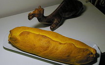 Vers la fortification de l'huile et du pain pour enrayer les carences en vitamine A et en fer