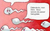 Allemagne: un donneur de sperme piégé