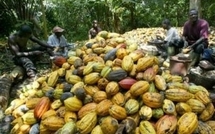 Des Ivoiriens pro-Gbagbo s'en prennent aux commerces étrangers